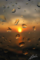 Macro on the water drops on my housing while pointing at ... by Adriano Trapani 